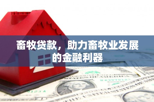 乌拉特前旗畜牧贷款，助力畜牧业发展的金融利器