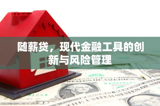 乌拉特前旗随薪贷，现代金融工具的创新与风险管理