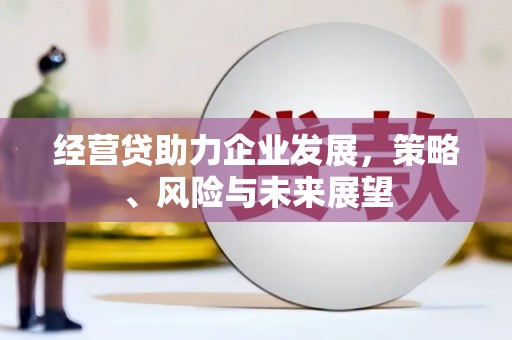 乌拉特前旗经营贷助力企业发展，策略、风险与未来展望