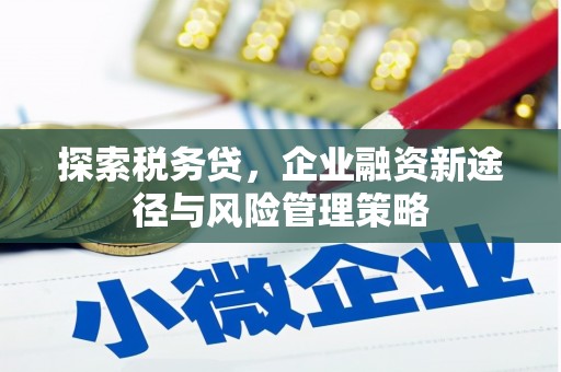 乌拉特前旗探索税务贷，企业融资新途径与风险管理策略