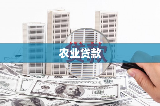 乌拉特前旗农业贷款