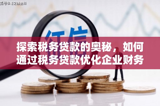 乌拉特前旗探索税务贷款的奥秘，如何通过税务贷款优化企业财务