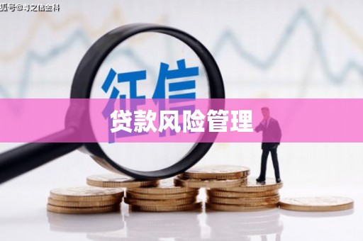 乌拉特前旗贷款风险管理