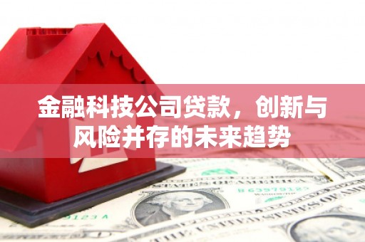乌拉特前旗金融科技公司贷款，创新与风险并存的未来趋势