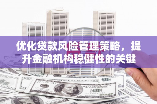 乌拉特前旗优化贷款风险管理策略，提升金融机构稳健性的关键