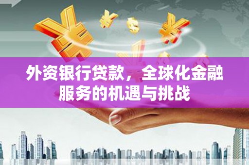 乌拉特前旗外资银行贷款，全球化金融服务的机遇与挑战