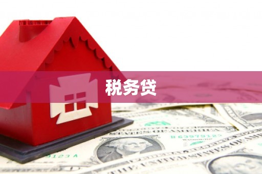 乌拉特前旗税务贷
