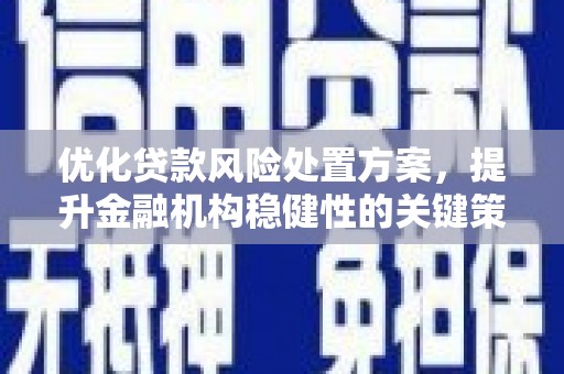 乌拉特前旗优化贷款风险处置方案，提升金融机构稳健性的关键策略