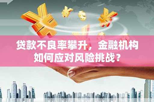 乌拉特前旗贷款不良率攀升，金融机构如何应对风险挑战？