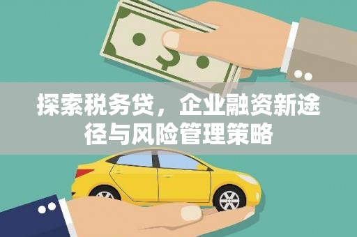 乌拉特前旗探索税务贷，企业融资新途径与风险管理策略