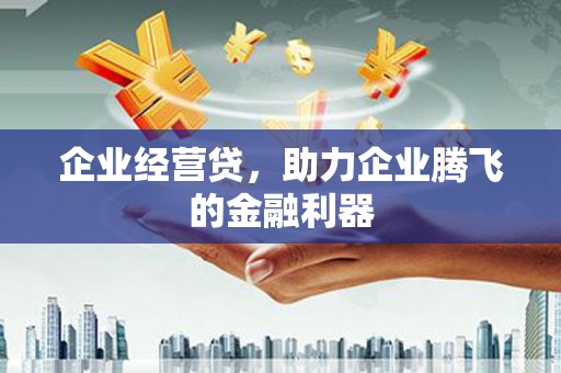 乌拉特前旗企业经营贷，助力企业腾飞的金融利器