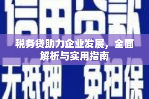 乌拉特前旗税务贷助力企业发展，全面解析与实用指南
