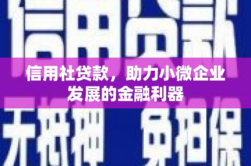乌拉特前旗信用社贷款，助力小微企业发展的金融利器