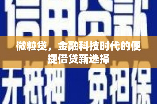 乌拉特前旗微粒贷，金融科技时代的便捷借贷新选择