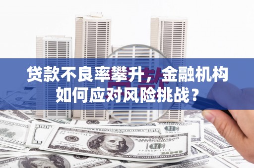 乌拉特前旗贷款不良率攀升，金融机构如何应对风险挑战？