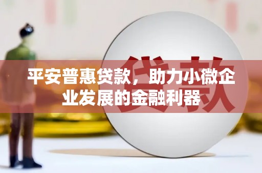 乌拉特前旗平安普惠贷款，助力小微企业发展的金融利器