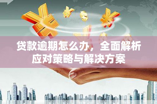 乌拉特前旗贷款逾期怎么办，全面解析应对策略与解决方案