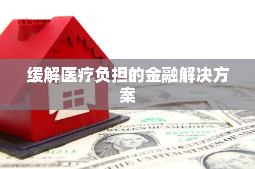 乌拉特前旗缓解医疗负担的金融解决方案