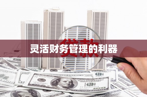 乌拉特前旗灵活财务管理的利器