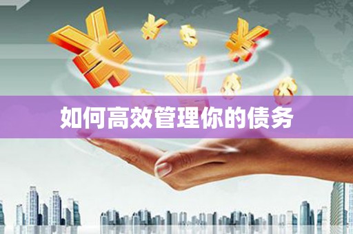 乌拉特前旗如何高效管理你的债务